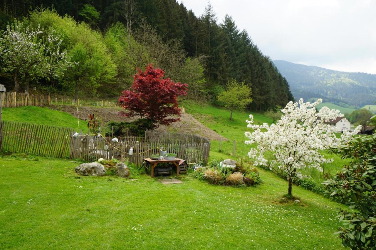 Hoellkopf - Stubenhof, Black Forest سيمونسوالد المظهر الخارجي الصورة